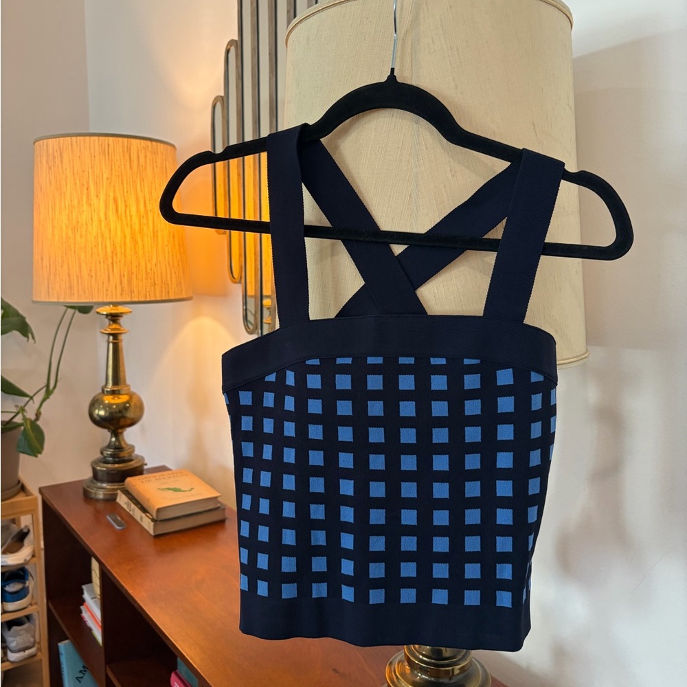 10 Crosby Derek Lam Navy and Light Blue Grid Knit Crop Tank